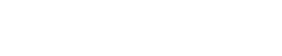 Sky World P&A Factory Logo